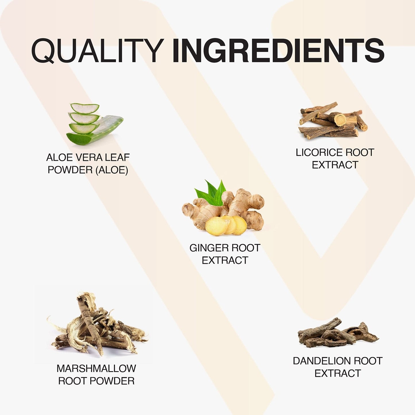 Vatellia Life New from Eaters Digest | Prebiotic | Probiotic | Digestive Support | Gut Soothing | Healthy Gut Lining | Max Nutrient Absorption - Maple Wellness Supplements