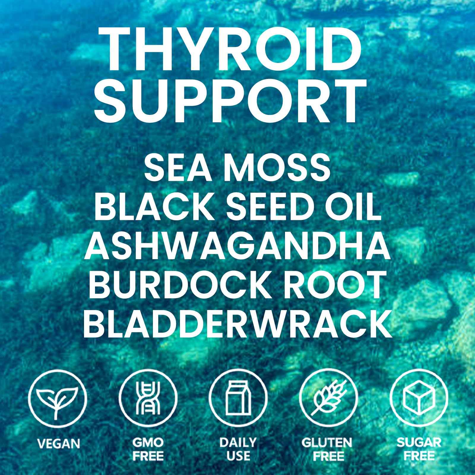 Velestoff Irish Seamoss Thyroid Hormone Regulator, Velestoff Thyroid Support Drops | Sea Moss, Black Seed Oil, Ashwagandha, Burdock Root, Bladderwrack, Hormone Balance & Support - 2 FL.OZ (1 Pcs) - Maple Wellness Supplements