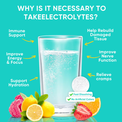 Venture Pal Sugar Free Electrolytes Powder Packets - Liquid Daily IV Hydration Packets | Instantly Hydrating & Party Recovery | 5 Vitamins & 7 Electrolytes - Maple Wellness Supplements