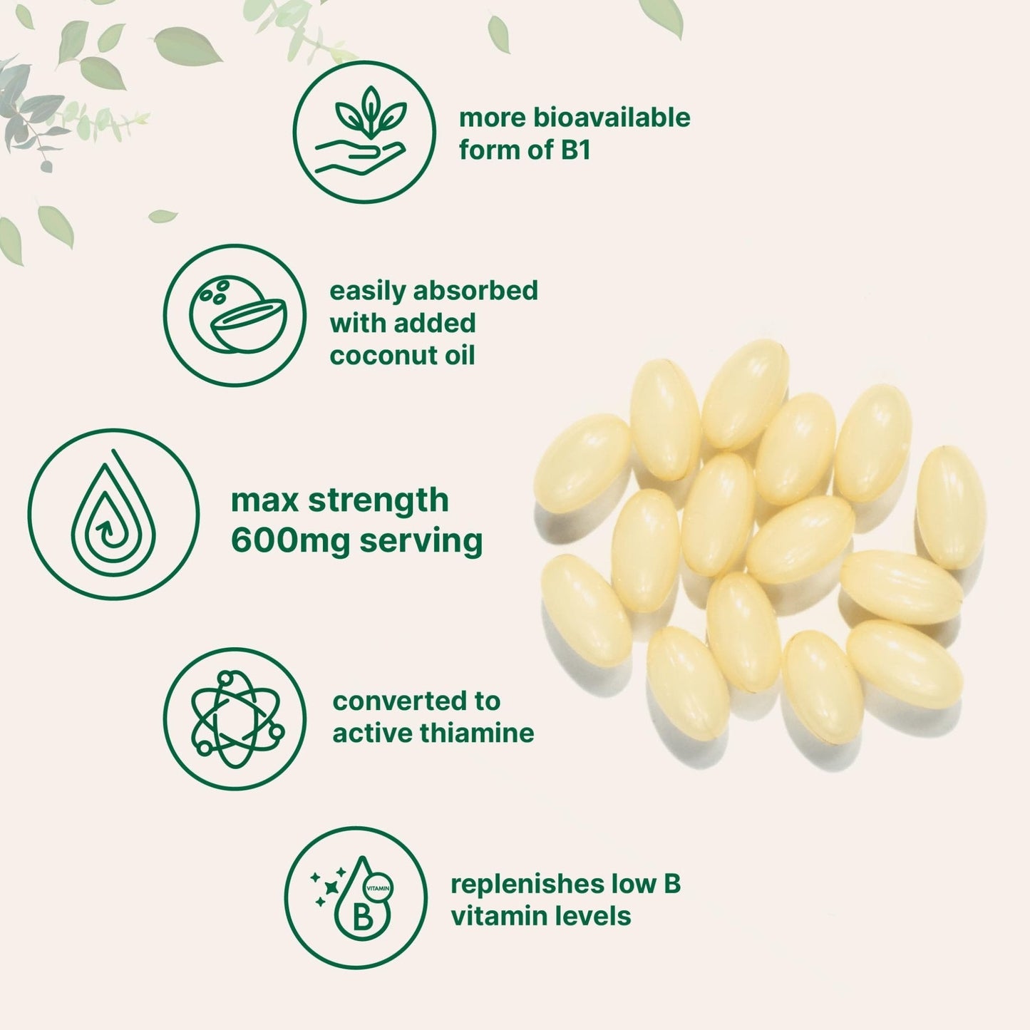 Vitamin B1 Benfotiamine 600mg Per Serving, 240 Coconut Oil Softgels | Bioavailable B Vitamins Supplement, Converted to Active Thiamine | Non-GMO, Soy Free - Maple Wellness Supplements