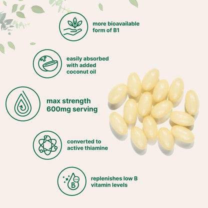 Vitamin B1 Benfotiamine 600mg Per Serving, 240 Coconut Oil Softgels | Bioavailable B Vitamins Supplement, Converted to Active Thiamine | Non-GMO, Soy Free - Maple Wellness Supplements