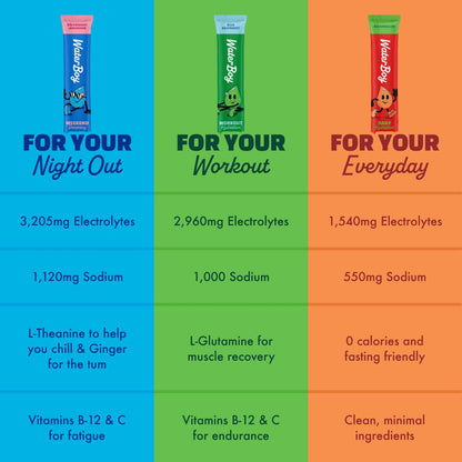 Waterboy Daily Hydration | 1,570mg Electrolyte Powder Packets | No Sugar, All Natural, Gluten Free, Zero Calories | 15 Drink Stick Mixes (Watermelon) - Maple Wellness Supplements