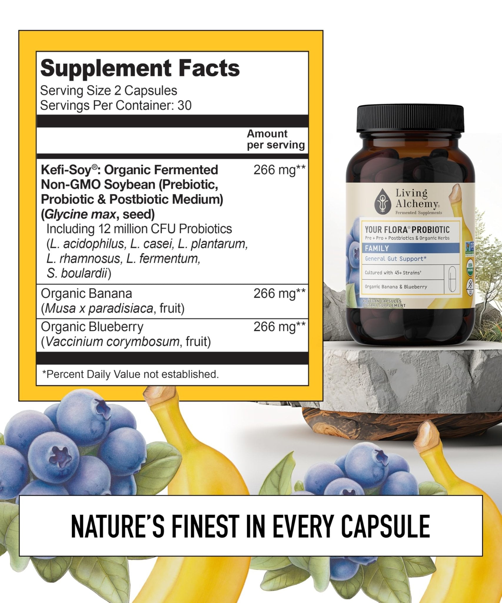 Your Flora Probiotic Family – Non-GMO Probiotics with Fermented Soybean, Banana, & Blueberry for Digestion & Gut Support – Prebiotics, Postbiotics, Digestive Enzymes – Living Alchemy, 60 Capsules - Maple Wellness Supplements