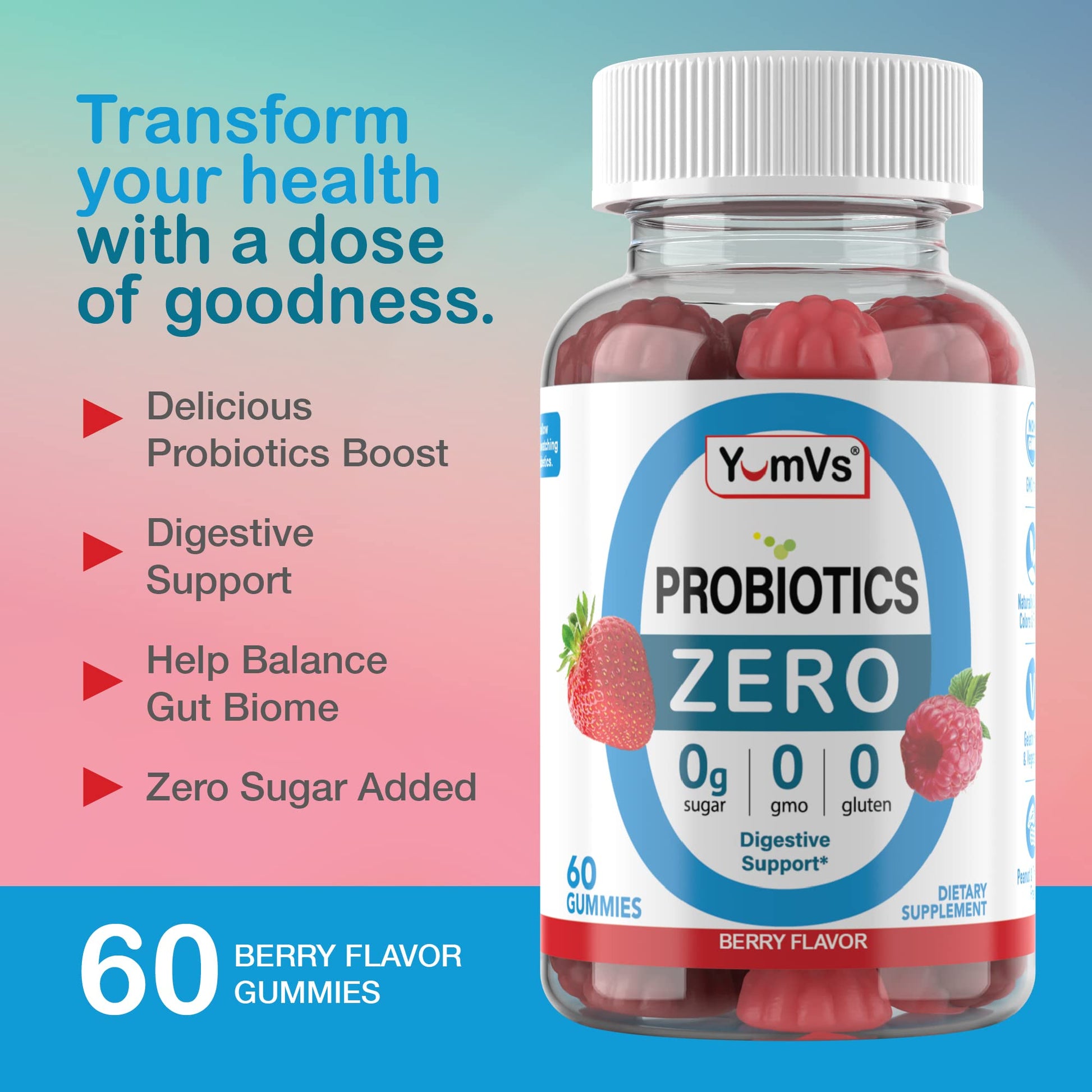 YUM-V'S Sugar Free Probiotic Gummies - Probiotics for Men & Women to Help Support Digestive Function – Adults & Kids Probiotic with 5 Billion CFU Bacillus Coagulans – Vegan & Gluten-Free (60 Count) - Maple Wellness Supplements