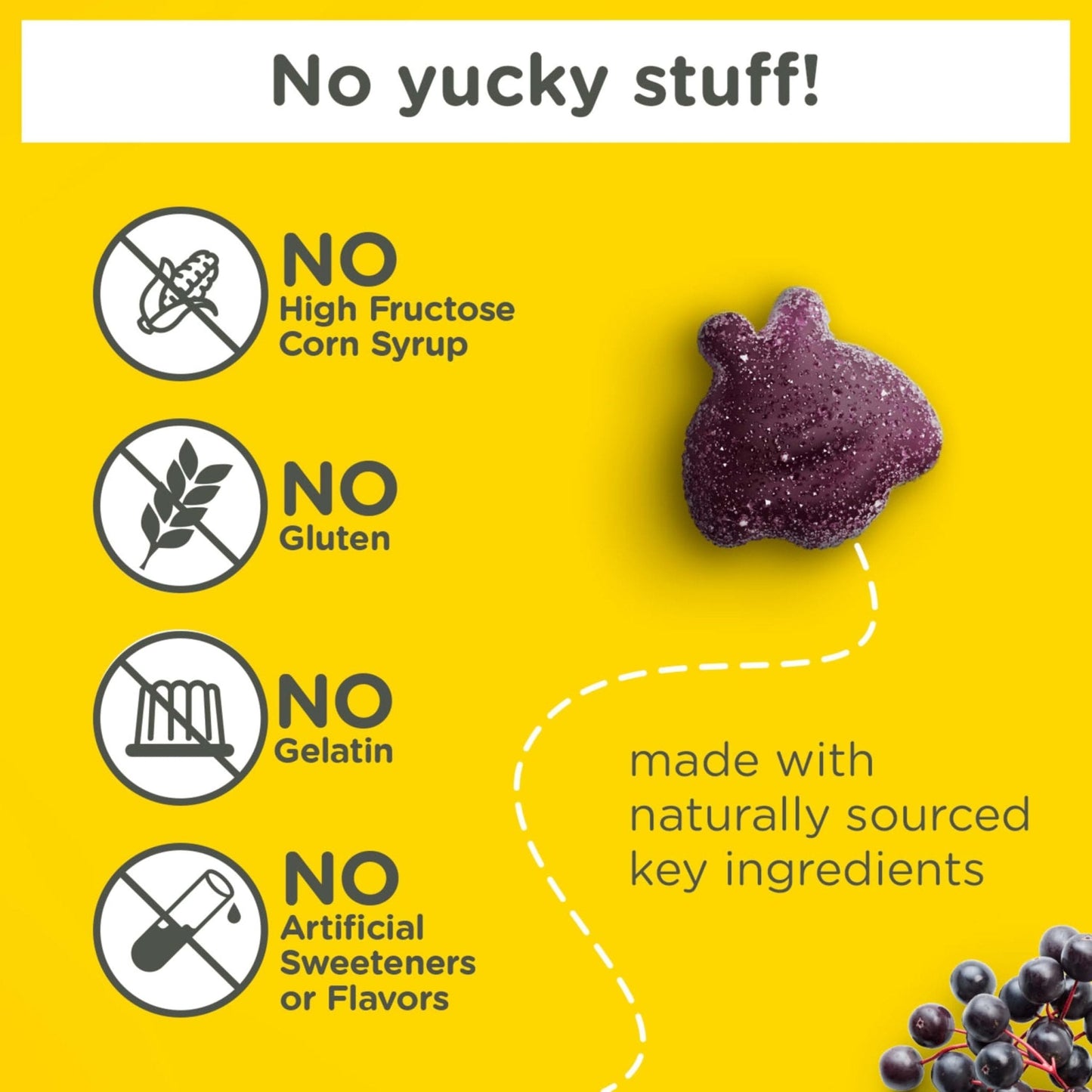 Zarbee’s Kids Elderberry Immune Support Supplement Gummies, Vitamins A C D3 E & Zinc, Elderberry Extract, Gluten & Gelatin Free - Maple Wellness Supplements