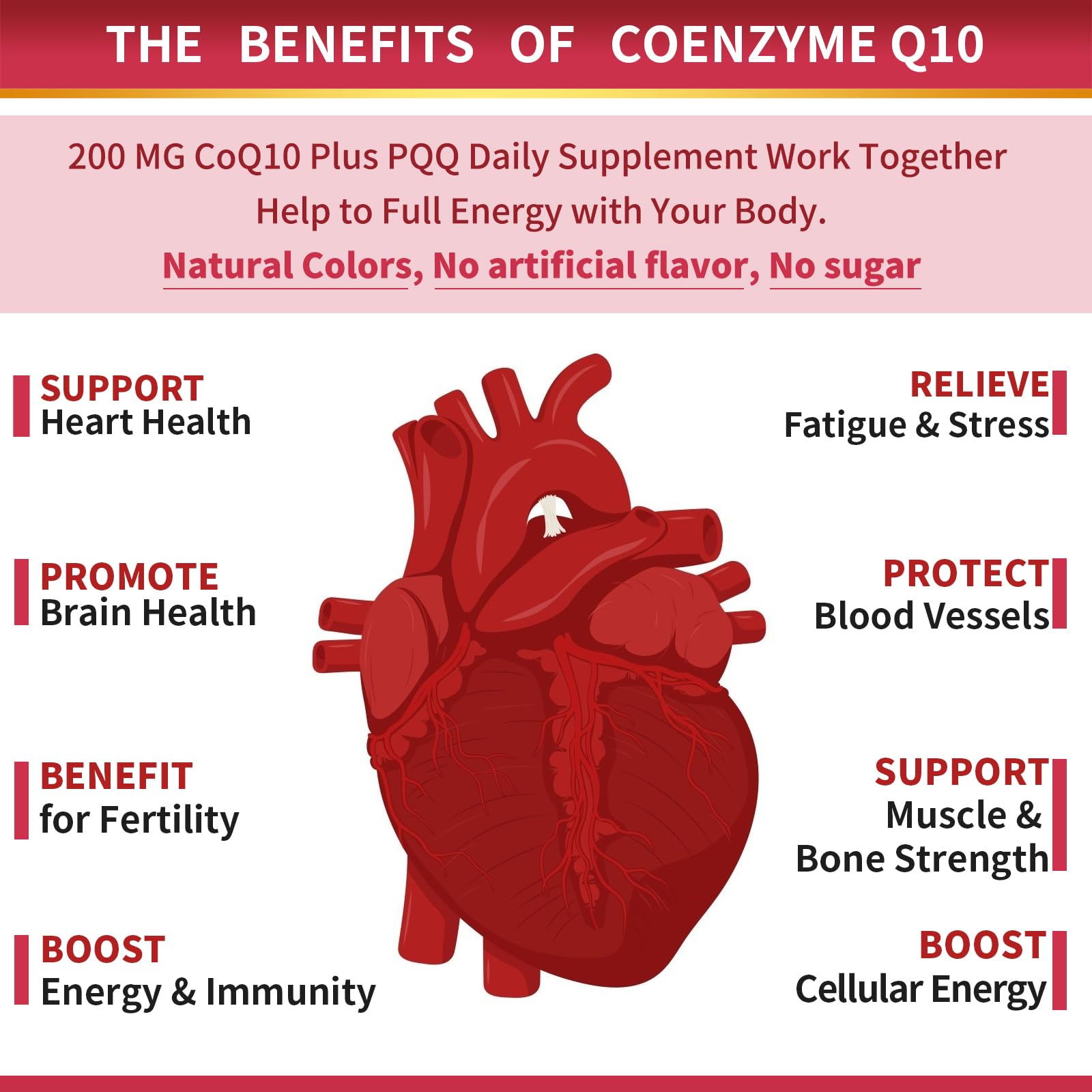 ZEBORA CoQ10-200mg-Softgels with PQQ, BioPerine & Omega-3, 120 Servings Coenzyme Q10(Ubiquinone) Supplement for High-Absorption, Powerful-Antioxidant - Maple Wellness Supplements
